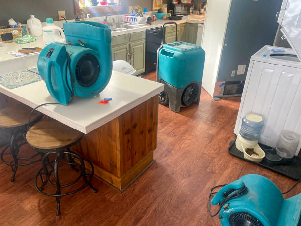 Best Water damage restoration near me  in Columbus, MN