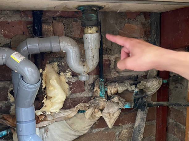 Best Carpet water damage restoration  in Columbus, MN